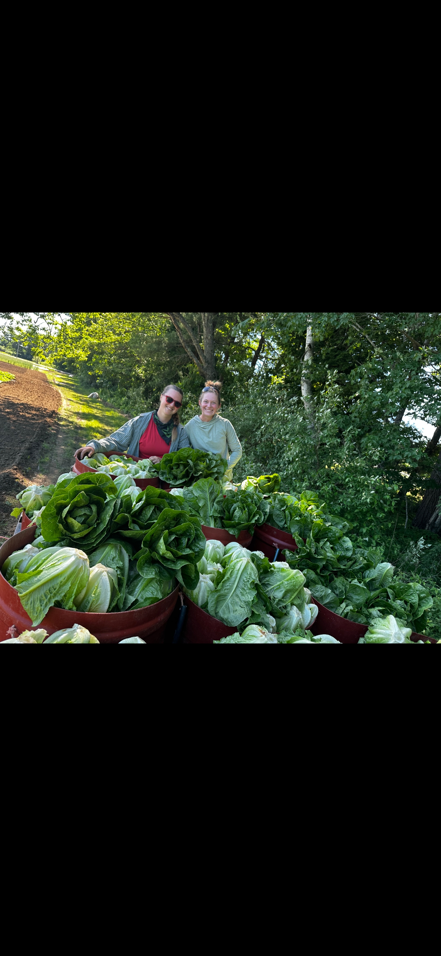 Two farmers holding baskets filled with leafy greens