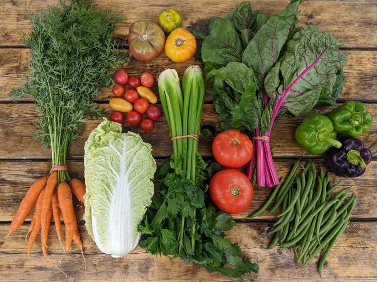 Colorful assortment of freshly harvested vegetables